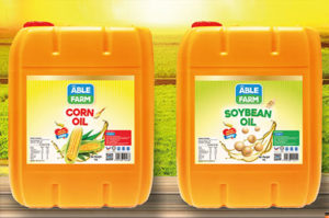 Palm Oil Manufacture