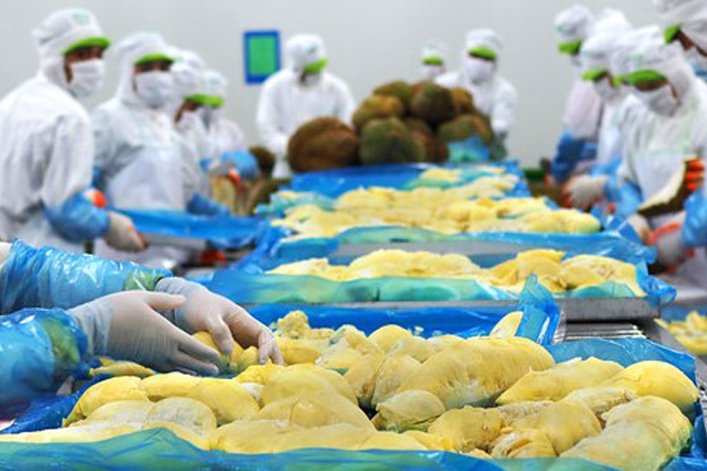 Durian Raub