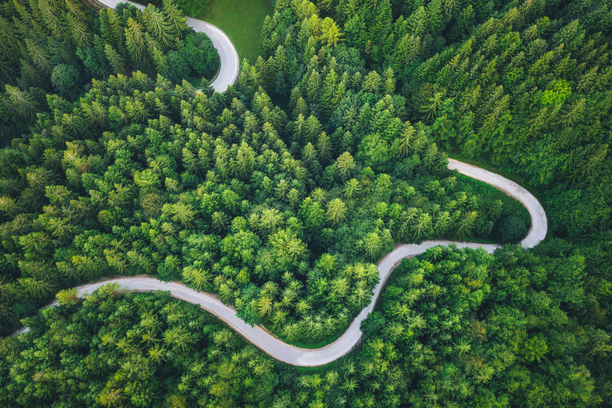 Sustainable Palm Oil Malaysia - Able Perfect's commitment to environmental sustainability through responsible palm oil practices, including conservation efforts and eco-friendly production.